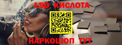 шишки Лесосибирск